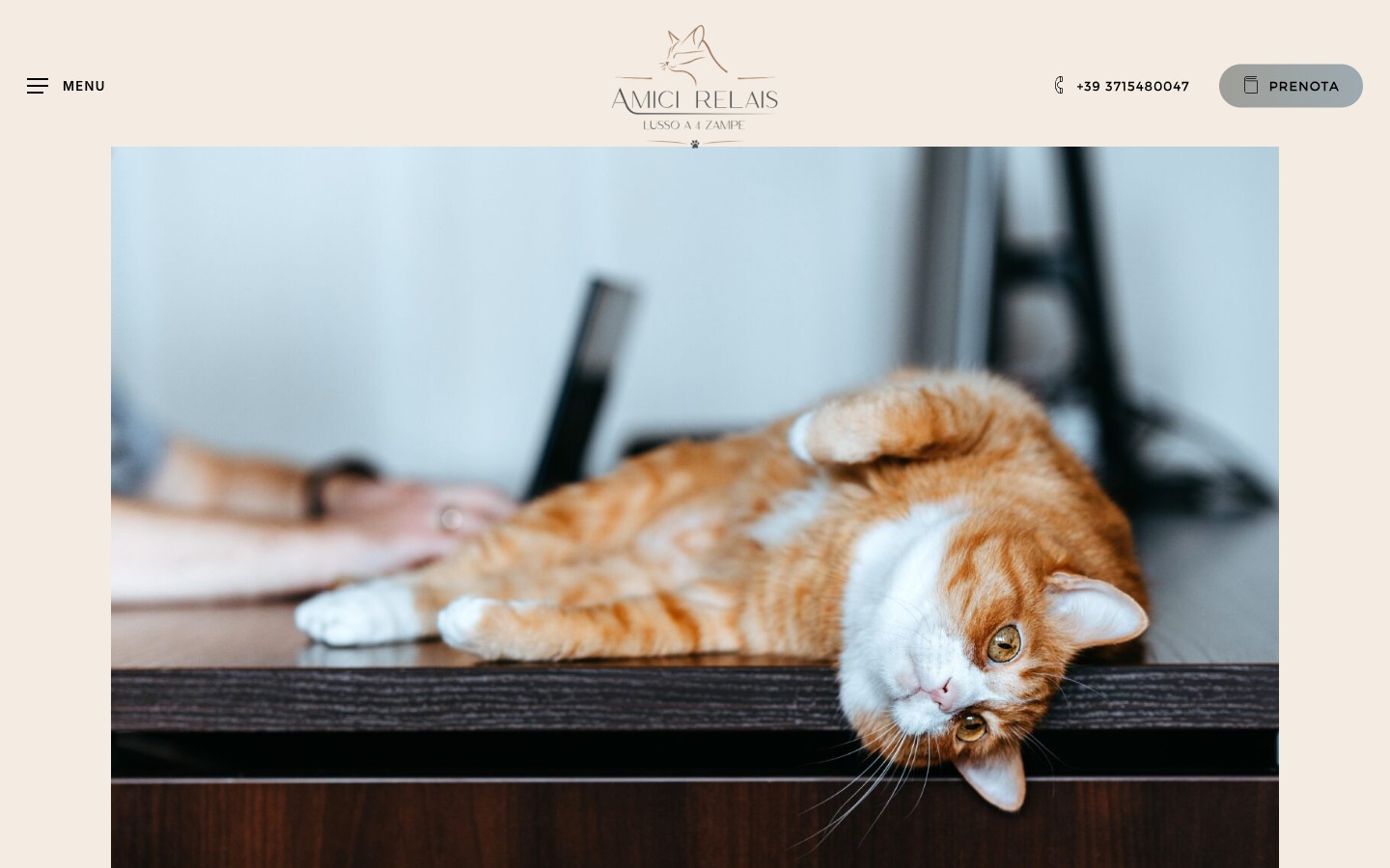 Amici Relais